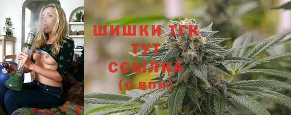 дживик Абаза