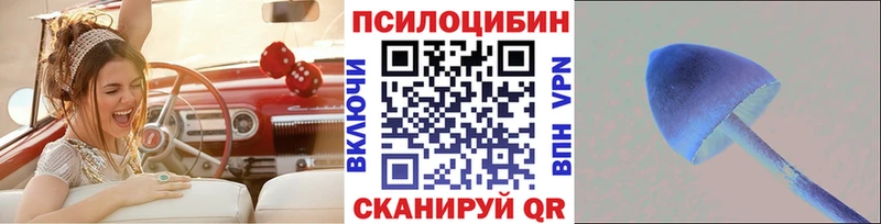 МЕГА tor  Новотитаровская  Галлюциногенные грибы GOLDEN TEACHER  как найти закладки 